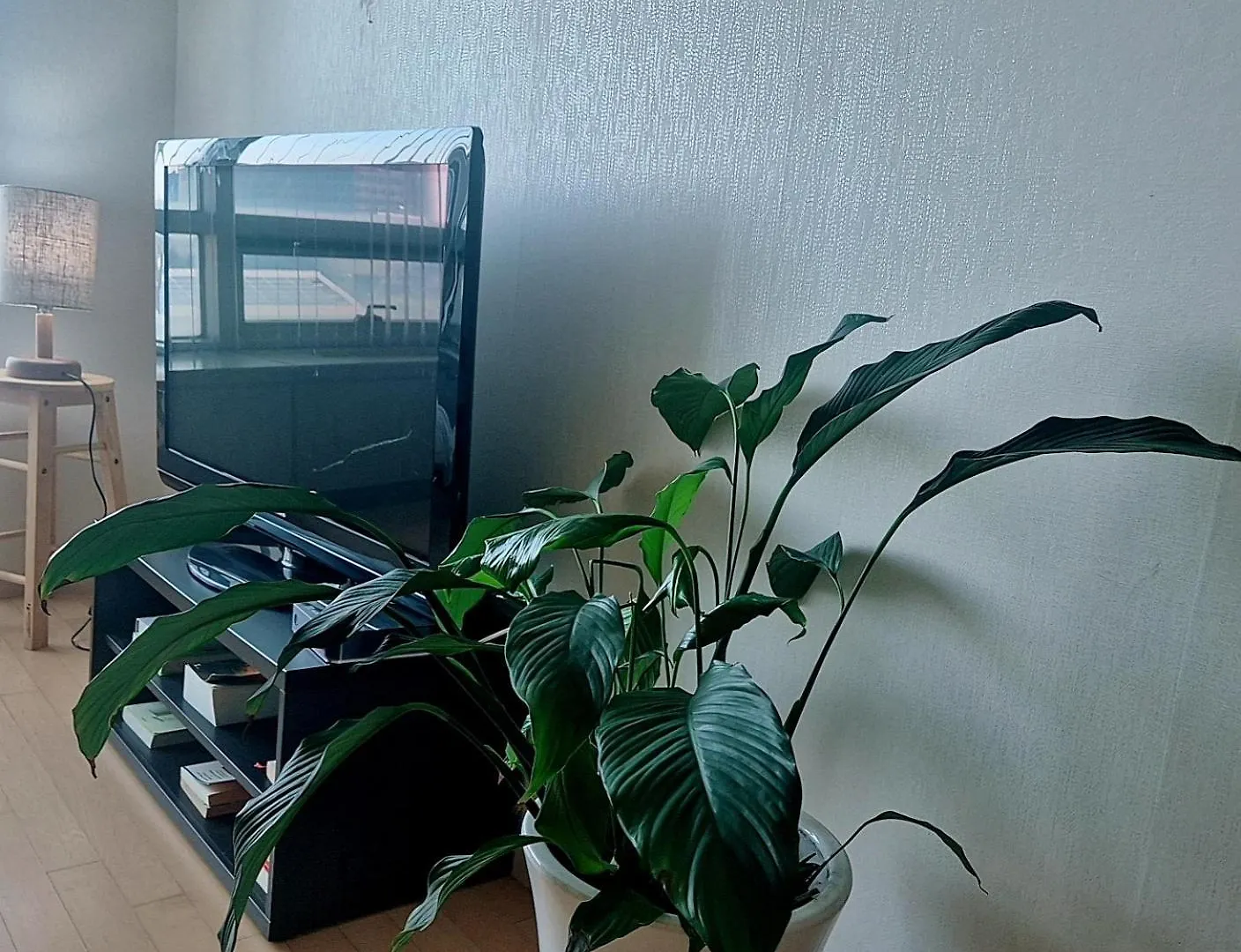 Apartment Cozy - Good Vibes Studio Incheon South Korea